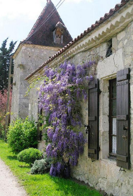 Chambre D'Hotes Le Pigeonnier De Quittimont Panzió Lacépède Kültér fotó